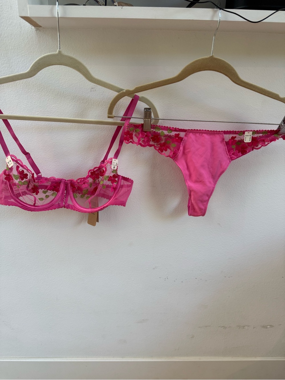 Embroidered Hot Pink Sheer Floral Bra & Thong Set